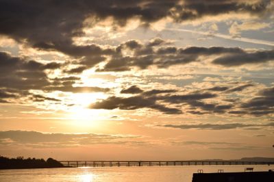 Dundee-&-Angus Dundee-&-Angus